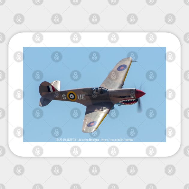 P-40E Kittyhawk RAF with Shark-Mouth Sticker by acefox1